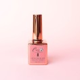 Ultra sticky primer 2in1